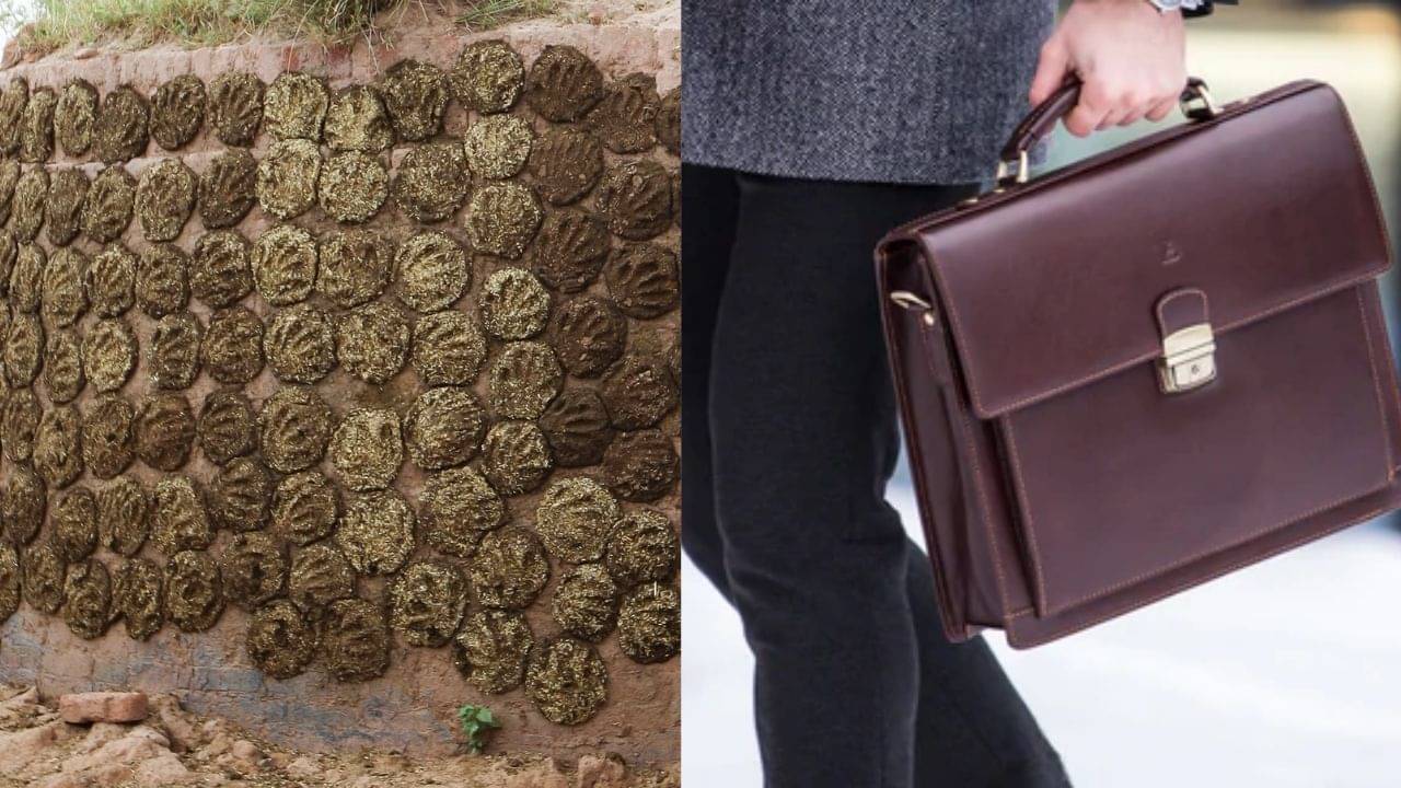 Bhupesh Baghel: গোবর দিয়ে তৈরি ব্যাগ নিয়ে বিধানসভায় এলেন মুখ্যমন্ত্রী, কারণ জানলে অবাক হবেন