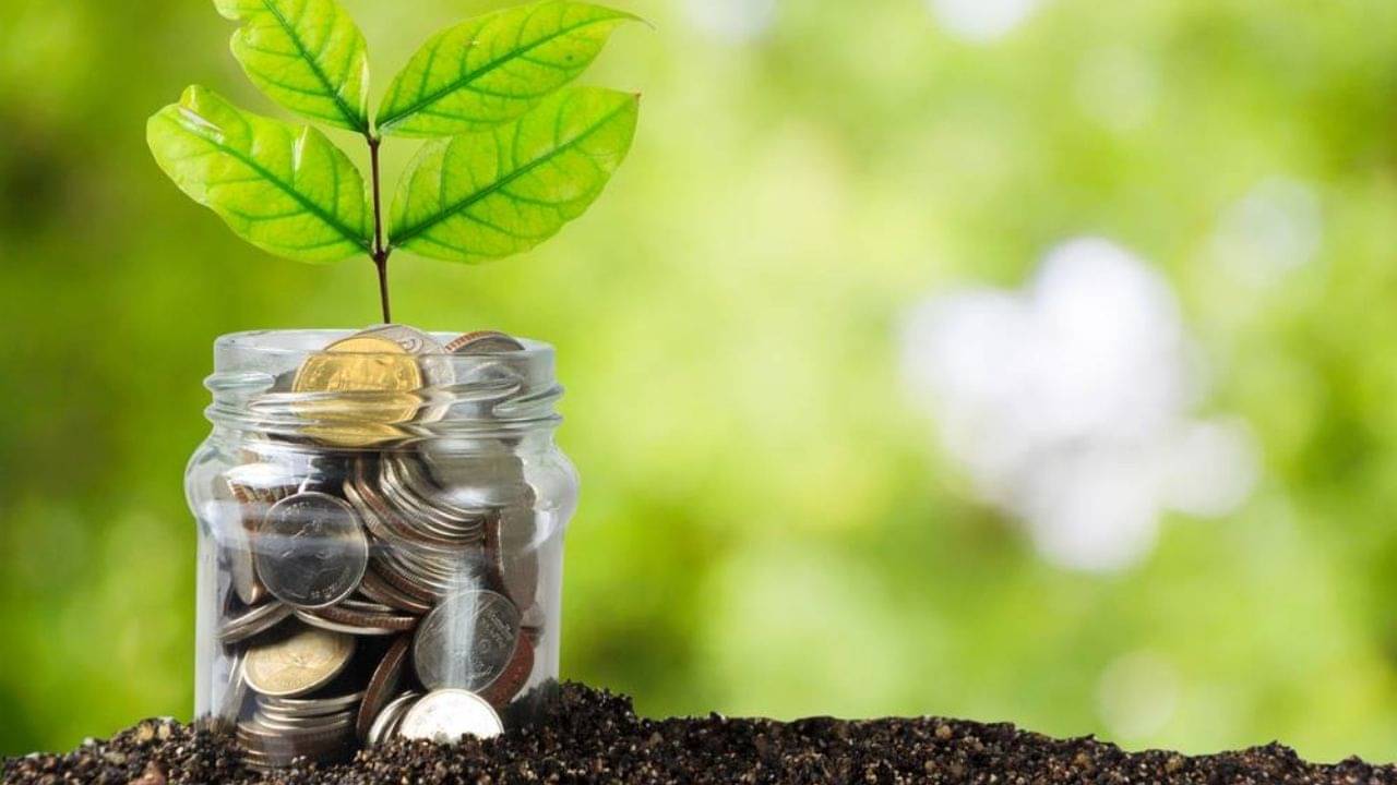 PF Balance online: কী ভাবে জানবেন প্রফিডেন্ট ফান্ডের ব্যালেন্স? কোন উপায়েই বা তুলবেন নিজের টাকা?