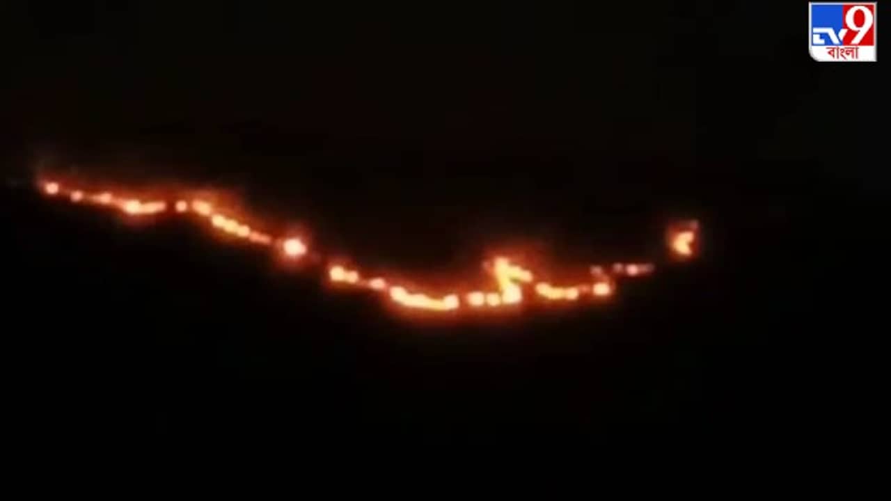 Wild Fire : প্রতি বসন্তের রুটিনে পড়ল না ছেদ, ফের আগুন জ্বলছে শুশুনিয়া পাহাড়ে