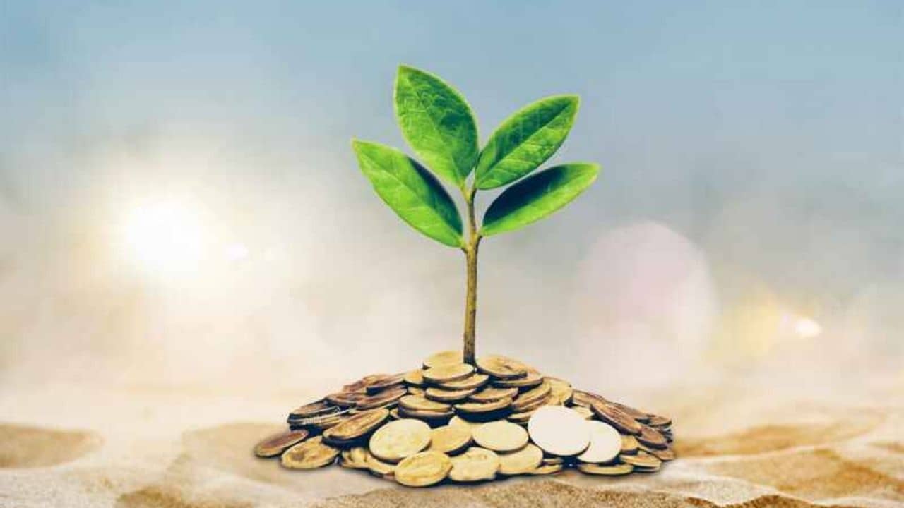 SBI FD vs Post Office FD: স্টেট ব্যাঙ্ক না পোস্ট অফিস, ফিক্সড ডিপোজিটে কে দিচ্ছে বাড়তি সুদ?