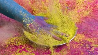 Holi Hair Care Tips: হোলিতে চুল নষ্ট হওয়ার ভয়? রঙে জুবজুবে চুল ধোওয়ার আগে এই সহজ ট্রিকসগুলি মেনে চলুন