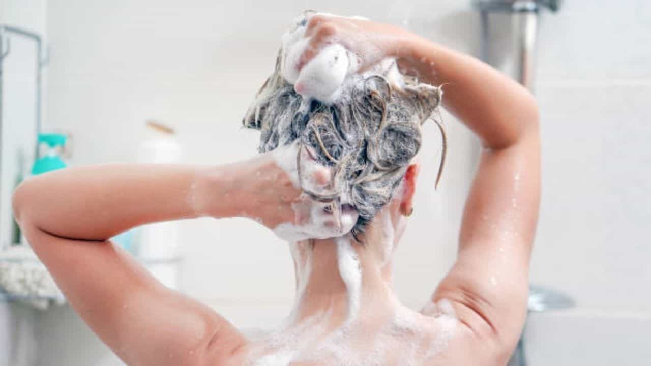Hair Care Tips: সপ্তাহে কতবার শ্যাম্পু করা উচিত? টিপস শেয়ার করলেন চর্মরোগ বিশেষজ্ঞ Hair Care Tips: সপ্তাহে কতবার শ্যাম্পু করা উচিত? টিপস শেয়ার করলেন চর্মরোগ বিশেষজ্ঞ