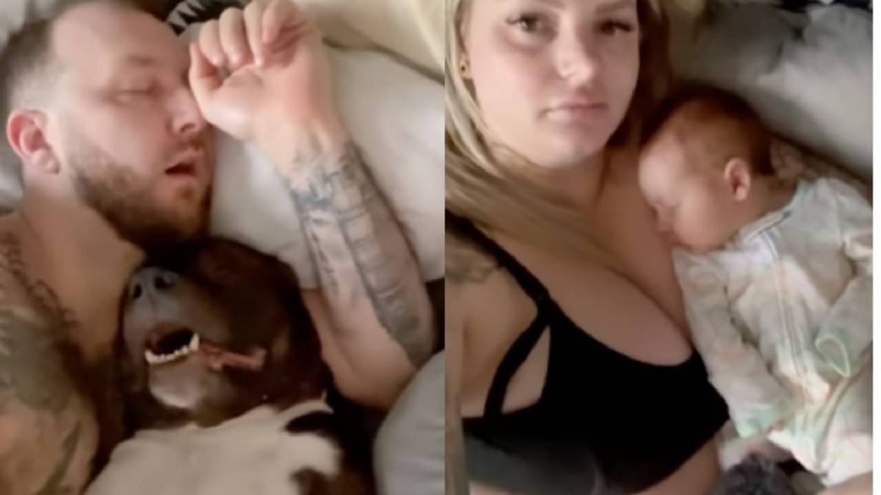 Viral Video: স্বামী ও পোষ্য কুকুরের নাক ডাকার চোটে রাত জেগে স্ত্রী! ভিডিয়ো রেকর্ড করে জানালেন অভিযোগ