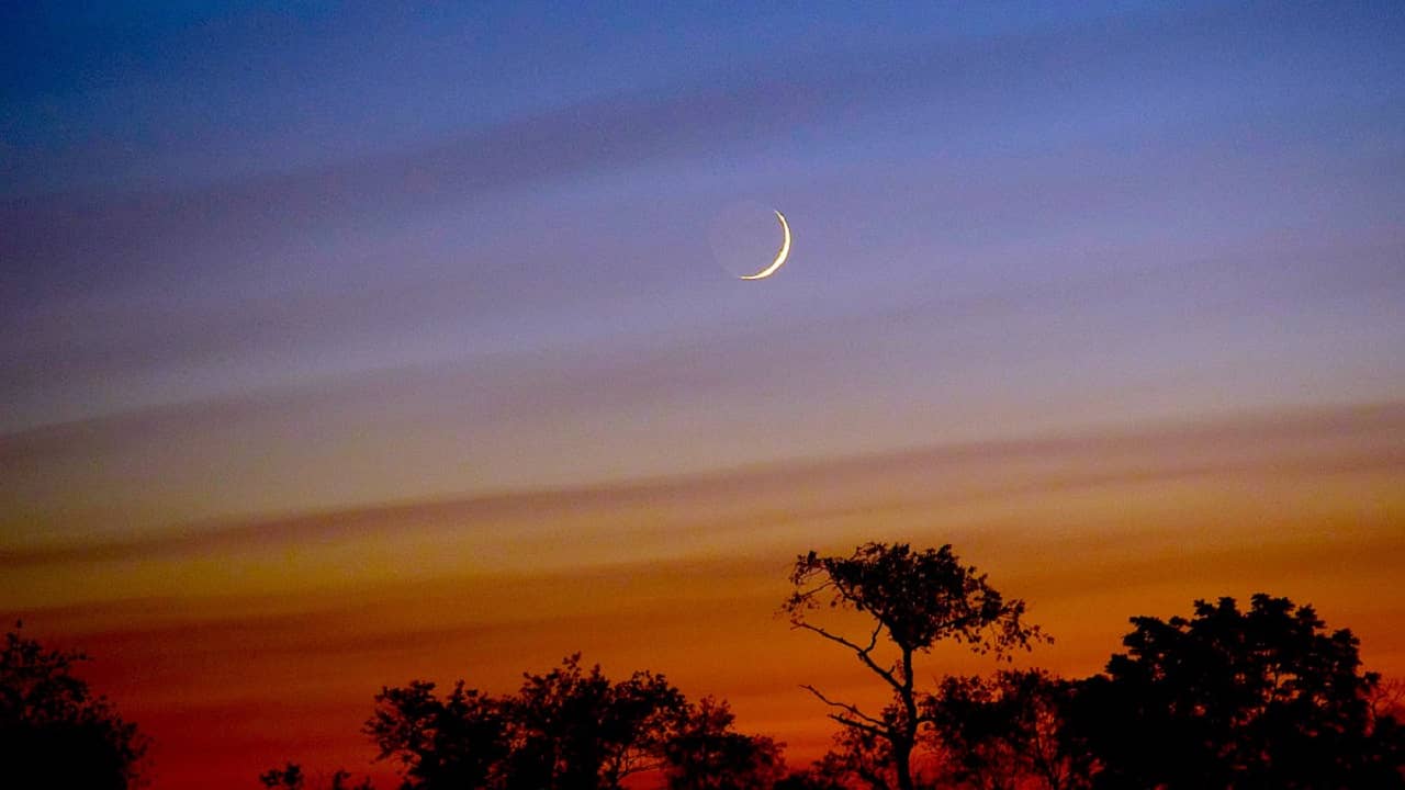 Sky This Month March 2022: চলতি মাসে সকালের আকাশে একসঙ্গে থাকবে শনি, মঙ্গল ও শুক্র