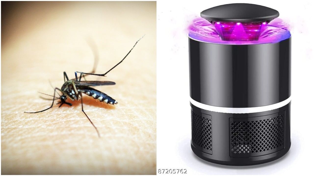 Mosquito Killer Lamp: বাড়িতে মশার উপদ্রবে অতিষ্ঠ? এক সেকেন্ডে তাদের গিলে নেবে ২১৭ টাকা দামের ছোট্ট এই ডিভাইস!