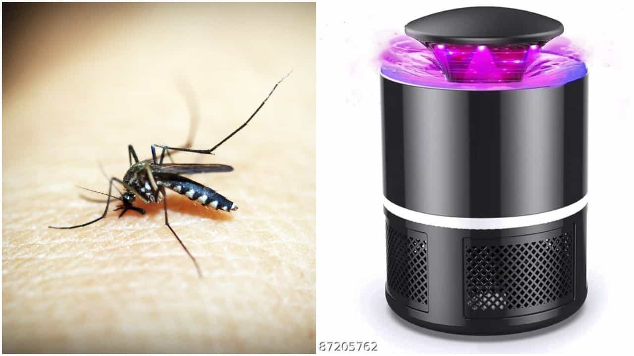 Mosquito Killer Lamp: বাড়িতে মশার উপদ্রবে অতিষ্ঠ? এক সেকেন্ডে তাদের গিলে নেবে ২১৭ টাকা দামের ছোট্ট এই ডিভাইস! Mosquito Killer Lamp: বাড়িতে মশার উপদ্রবে অতিষ্ঠ? এক সেকেন্ডে তাদের গিলে নেবে ২১৭ টাকা দামের ছোট্ট এই ডিভাইস!