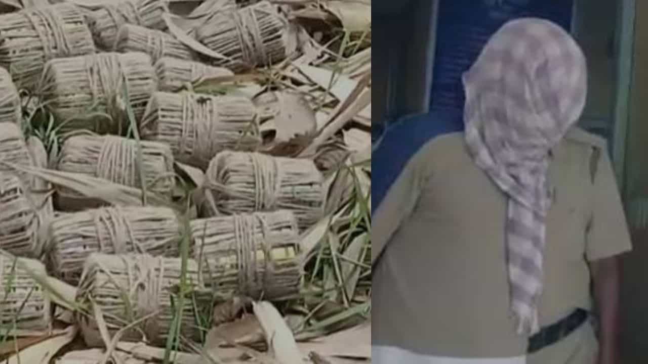 Farakka Bomb Recover: রাস্তার পাশেই রেখেছিল ১৭ তাজা বোমা, পুলিশি জিজ্ঞাসাবাদে অভিযুক্ত বলল... Farakka Bomb Recover: রাস্তার পাশেই রেখেছিল ১৭ তাজা বোমা, পুলিশি জিজ্ঞাসাবাদে অভিযুক্ত বলল...