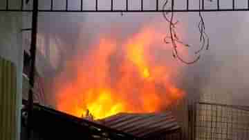 Dhupguri Fire: শর্ট সার্কিট থেকে আগুন, ভস্মীভূত গোয়ালঘর থেকে আলু রাখার গুদাম ঘর