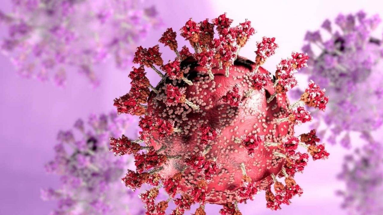 Omicron Variant BA.2: মাথা ঘুরছে বা সবসময় ক্লান্তিভাব লাগছে? ওমিক্রন ভেরিয়েন্টের নয়া উপসর্গ নিয়ে উদ্বিগ্ন বিজ্ঞানীরা