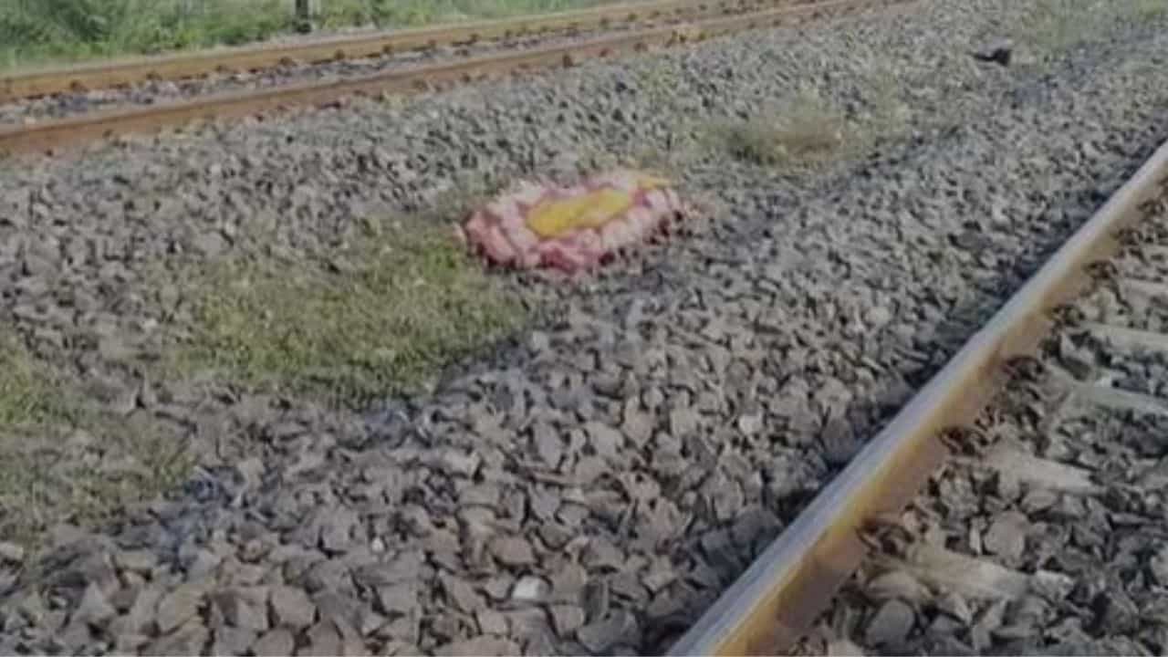 Magrahat Women body Recover: মধ্যরাতে ঘুম ভাঙতেই দেখেন পাশ থেকে উধাও স্ত্রী, সকালে মিলল কাটা মুণ্ড Magrahat Women body Recover: মধ্যরাতে ঘুম ভাঙতেই দেখেন পাশ থেকে উধাও স্ত্রী, সকালে মিলল কাটা মুণ্ড