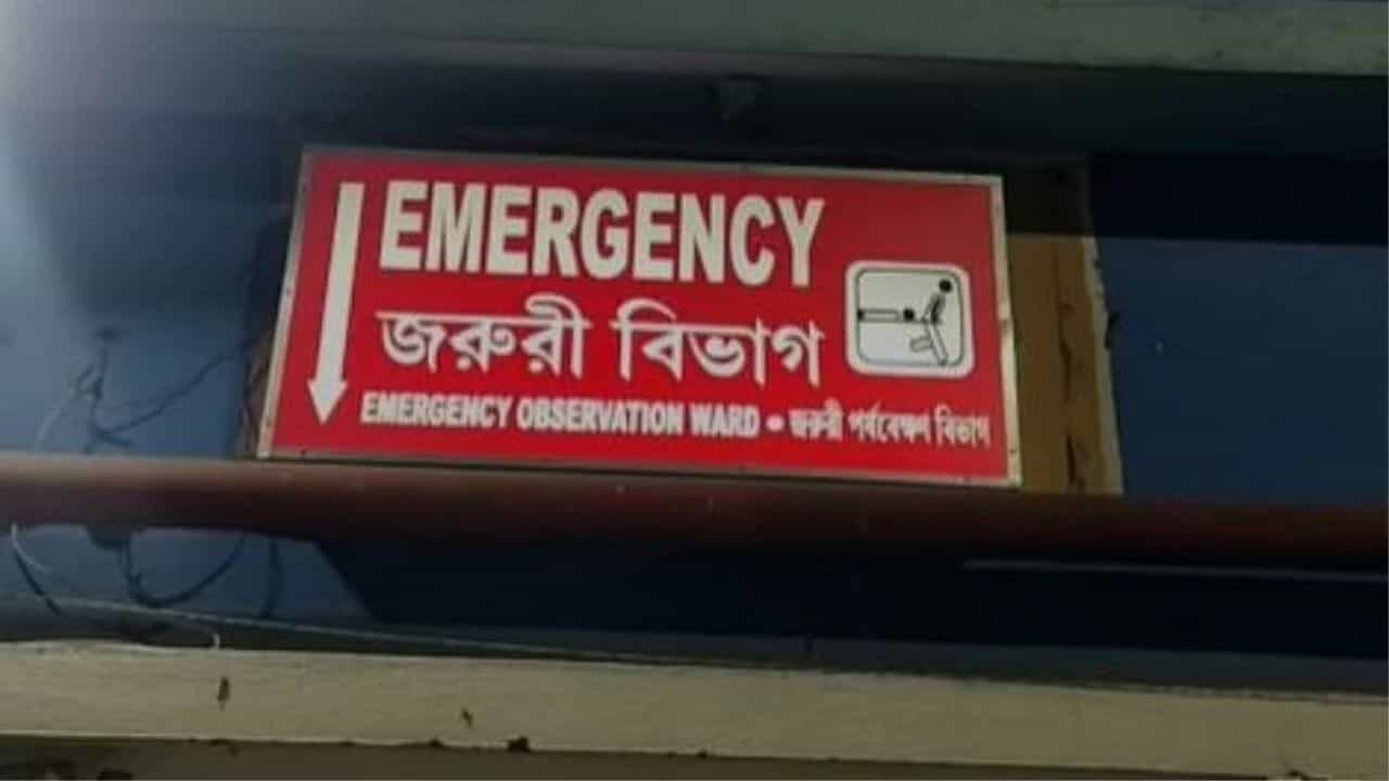 Food Poisoning: গা পাকিয়ে উঠছে বমি, সঙ্গে তীব্র পেটে যন্ত্রণা, কারণ খুঁজতে গিয়ে মাথায় হাত সকলের Food Poisoning: গা পাকিয়ে উঠছে বমি, সঙ্গে তীব্র পেটে যন্ত্রণা, কারণ খুঁজতে গিয়ে মাথায় হাত সকলের
