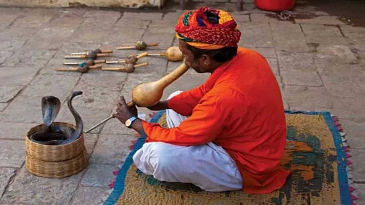 Viral Video: দোকানের সামনে বিন বাজাচ্ছেন সাপুড়ে, তারপর যা বেরোলো তা দেখলে হাসতে বাধ্য হবেন আপনি