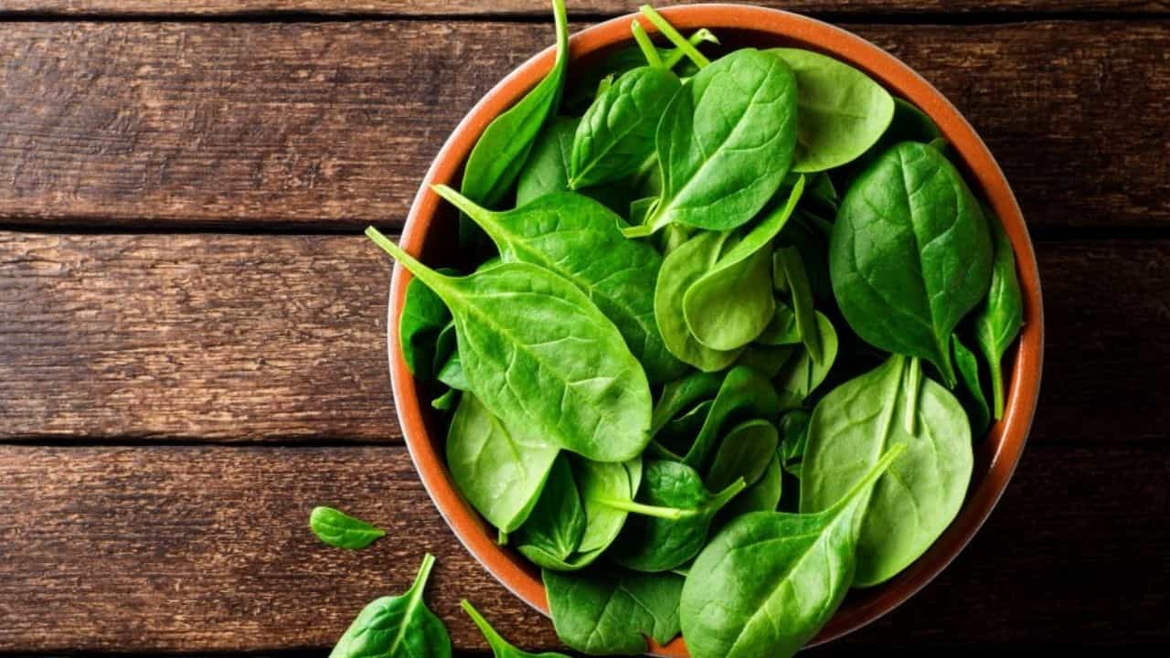 Spinach Day: হার্ট- চোখ-ত্বক-হাড় সুস্থ রাখতে আজ থেকেই ডায়েটে রাখুন অলরাউন্ডার পালং শাক! Spinach Day: হার্ট- চোখ-ত্বক-হাড় সুস্থ রাখতে আজ থেকেই ডায়েটে রাখুন অলরাউন্ডার পালং শাক!