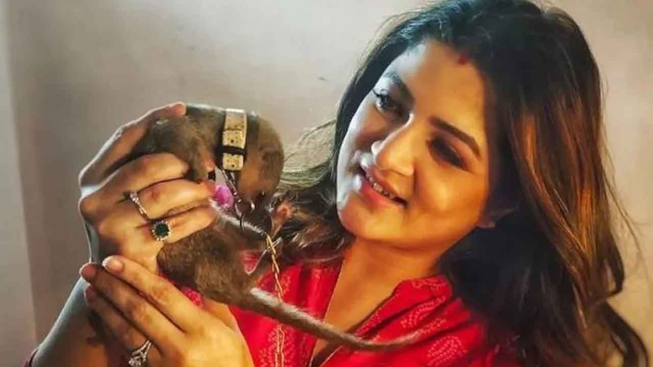 Srabanti Chatterjee: Viral Sravanti taking a picture of chained beji, her  driver arrested | Driver of srabonti chatterjee arrested in mongoose case |  PiPa News