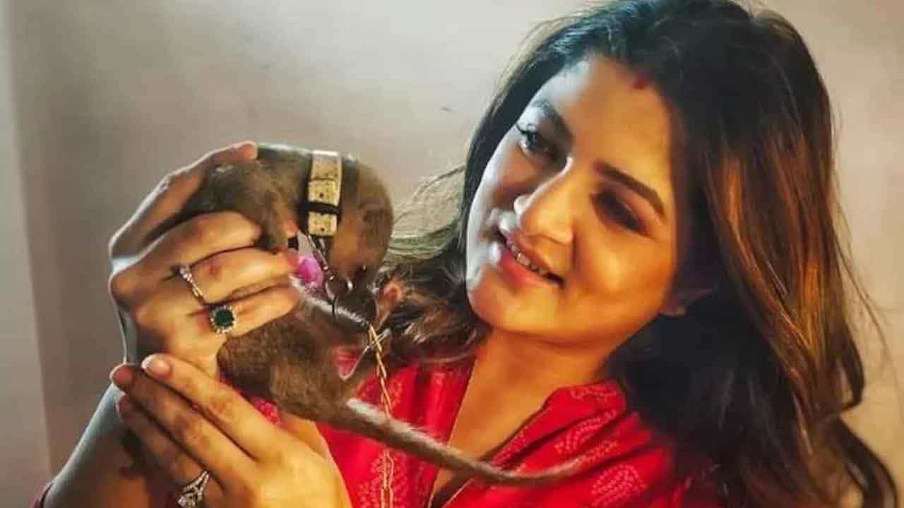 Srabanti Chatterjee: বেজির গলায় শিকল বেঁধে ছবি তুললেন কেন? চার ঘন্টা জিজ্ঞাসাবাদ শ্রাবন্তীকে