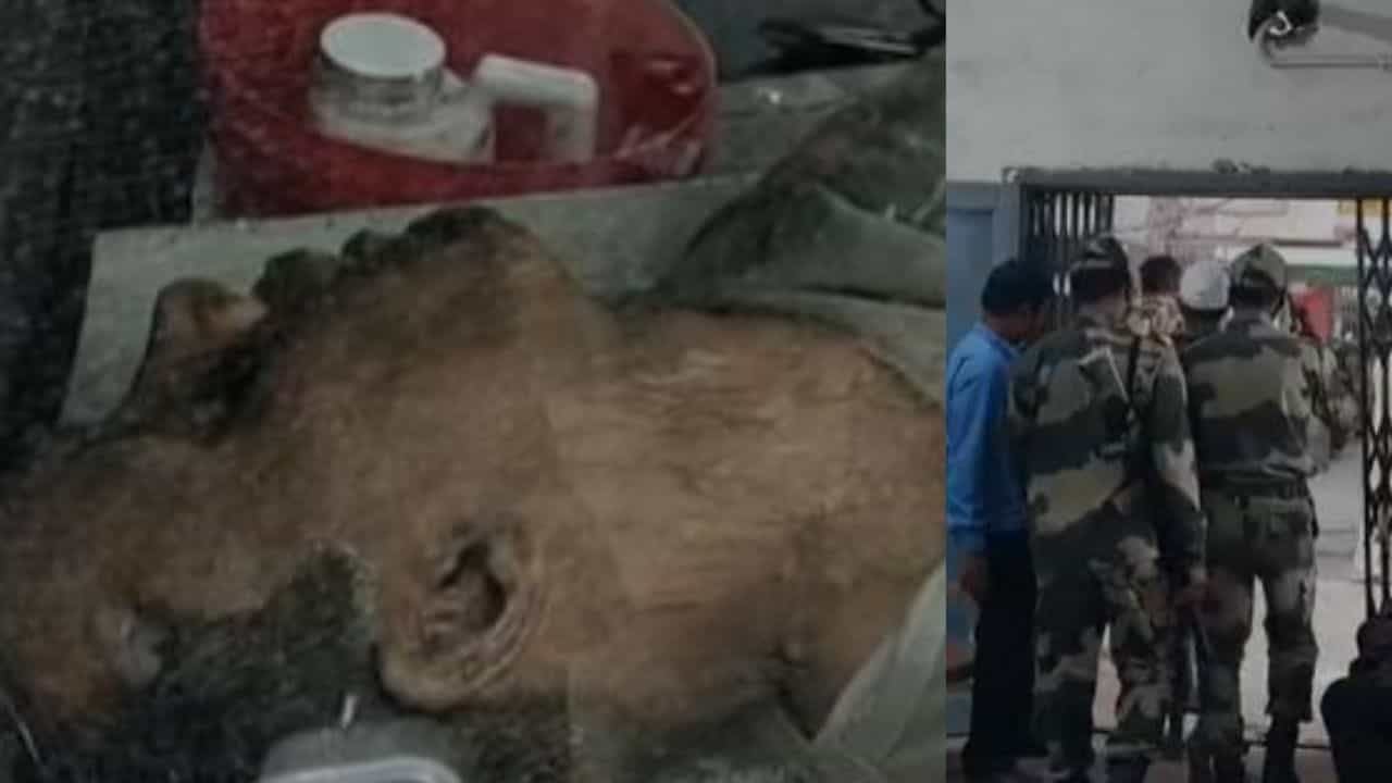BSF in Cooch Behar: বারণ সত্ত্বেও কথা কানে তোলেনি, সীমান্তে বিএসএফ-এর গুলিতে মৃত্যু এক বাংলাদেশির BSF in Cooch Behar: বারণ সত্ত্বেও কথা কানে তোলেনি, সীমান্তে বিএসএফ-এর গুলিতে মৃত্যু এক বাংলাদেশির