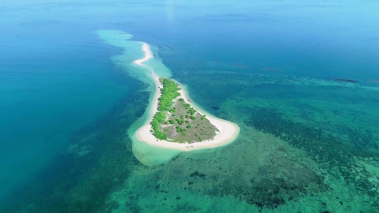 Kurusadai island: দারুণ খবর! পর্যটকের সংখ্যা বৃদ্ধিতে বোট রাইড চালু তামিলনাড়ুর এই অসাধারণ প্রবাল দ্বীপে