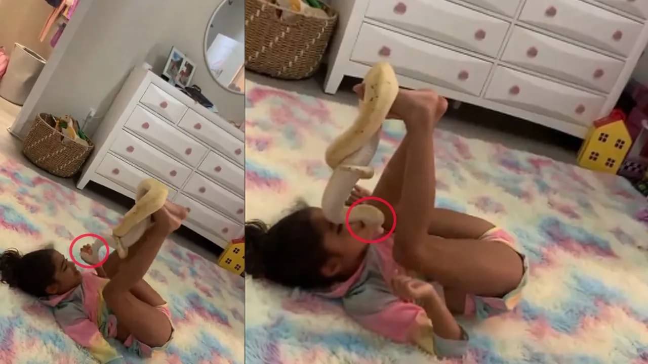 Viral Video: বিছানায় সাপ নিয়ে ছোট্ট মেয়ের খেলা, আদর করে চুমুও খেয়ে নিল!