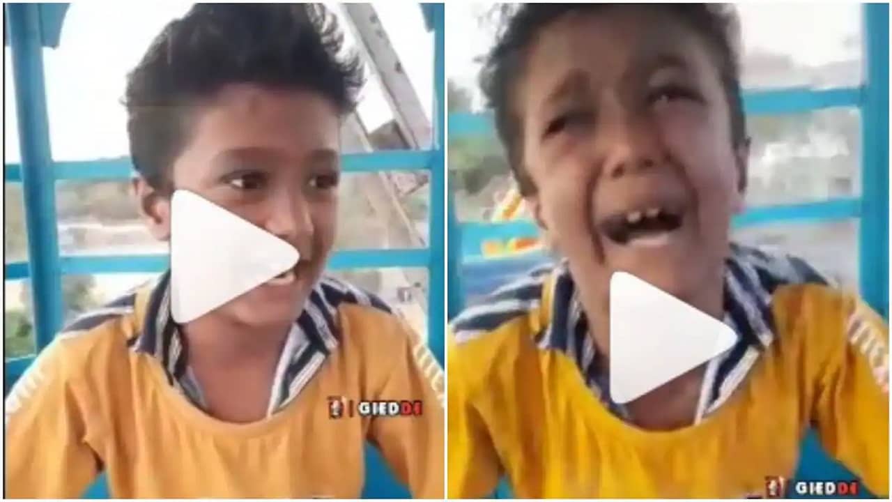Viral Video: শখ করে নাগরদোলায় চড়ার খেসারত! ভেরি ইন্টারেস্টিং মুহূর্তে বদলে গেল বাবা গো, মা গো চিৎকারে!