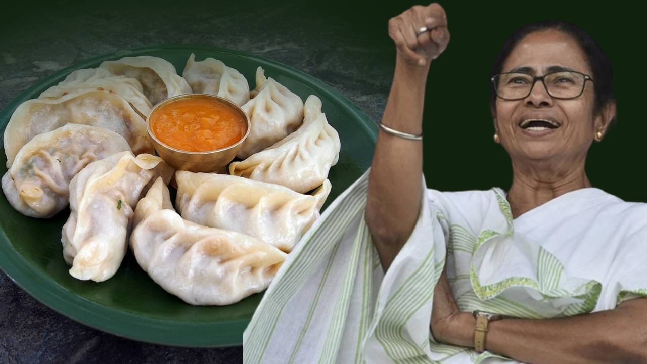 CM Mamata Banerjee: ভিডিয়ো: হাসি মুখে ময়দার লেচিতে পাক, পাকদণ্ডীর ধারে দাঁড়িয়ে মোমো বানালেন মমতা