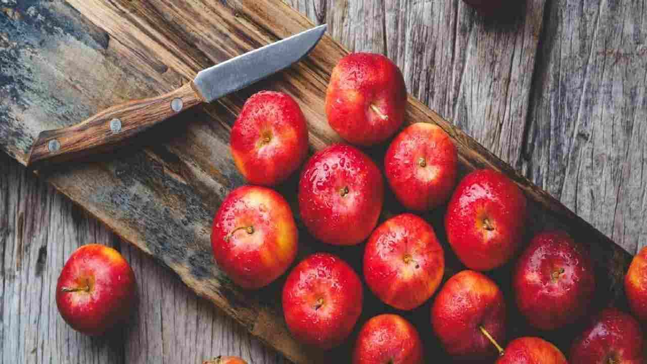 Apple: রোজ রোজ আপেল খেলেও হতে পারে পার্শ্বপ্রতিক্রিয়া! বলছে বিজ্ঞান Apple: রোজ রোজ আপেল খেলেও হতে পারে পার্শ্বপ্রতিক্রিয়া! বলছে বিজ্ঞান