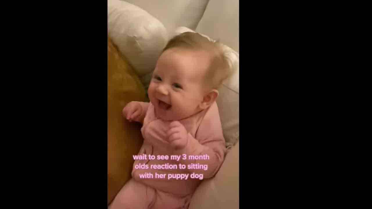 Viral Video: তিনমাসের মেয়ের নতুন বন্ধু পোষ্য কুকুর, একরত্তির হাসিই বুঝিয়ে দিচ্ছে দারুণ খুশি সে