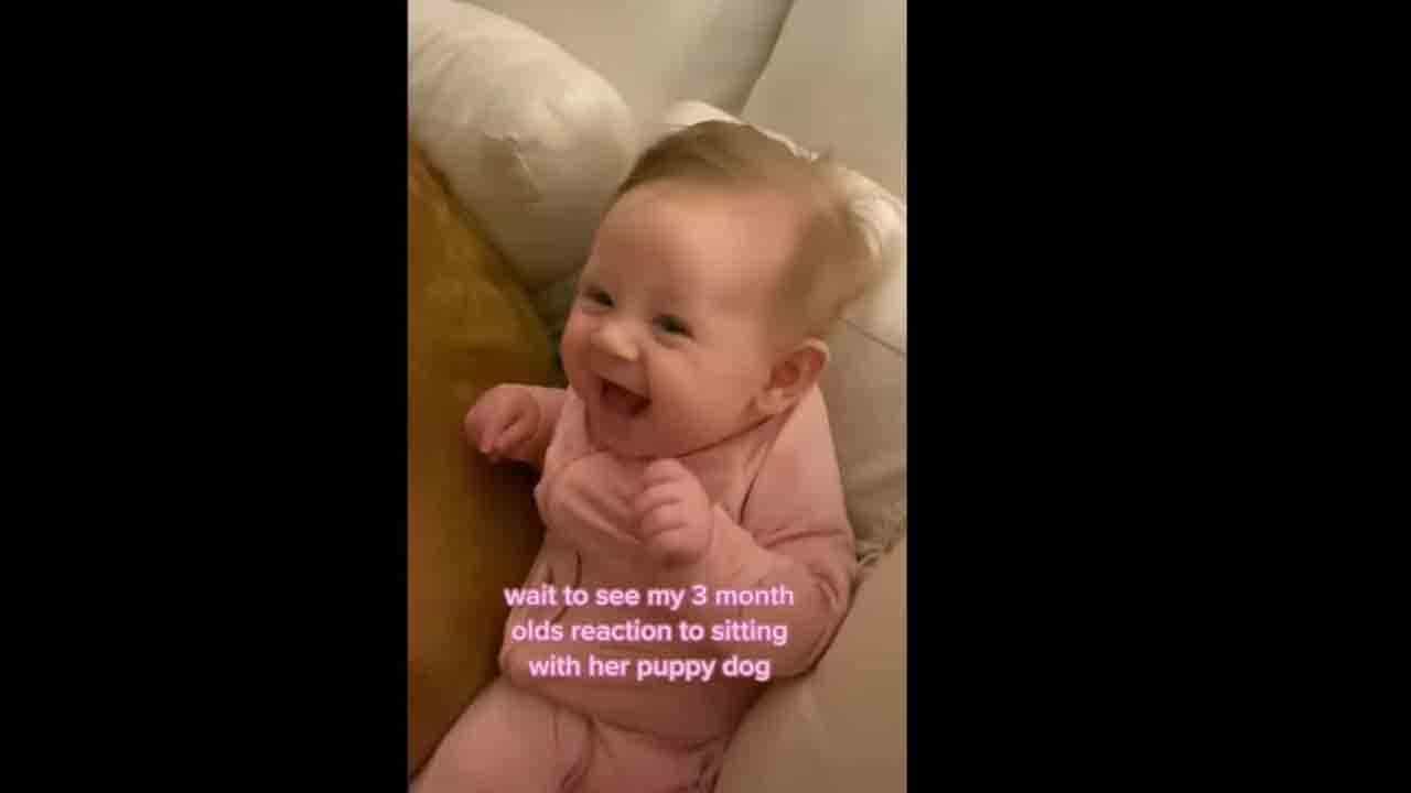 Viral Video: তিনমাসের মেয়ের নতুন বন্ধু পোষ্য কুকুর, একরত্তির হাসিই বুঝিয়ে দিচ্ছে দারুণ খুশি সে