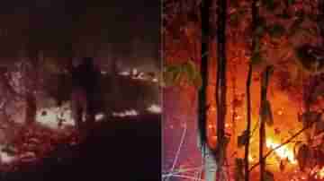 Wild Fire Bardhaman: জ্বলছে বিঘার পর বিঘা বনভূমি, ভয়াবহ দাবানল আউশগ্রামের জঙ্গলে