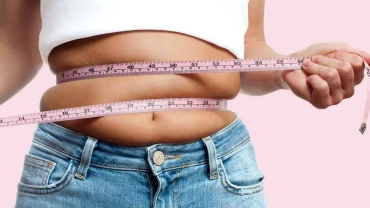 Belly Fat: পেটের জেদি মেদ হঠাতে প্রতিদিনের ডায়েটে কী কী অবশ্যই খাবেন, টিপস দিচ্ছেন বিশিষ্ট ডায়েটিশিয়ান