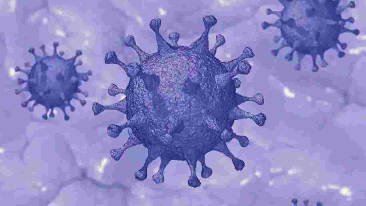 New Coronavirus variant: এবার ওমিক্রনের নতুন ভ্যারিয়েন্টের হদিশ মিলল ইজরায়েলে, কতটা বিপজ্জনক এটি জানুন...