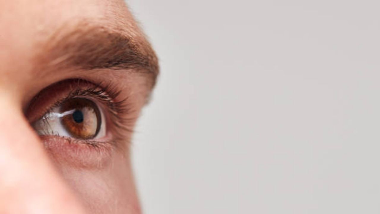 Eye Care: চোখের স্বাস্থ্য উন্নত করতে চান? দুধের সঙ্গে এই মিশ্রণটি মিশিয়ে পান করুন