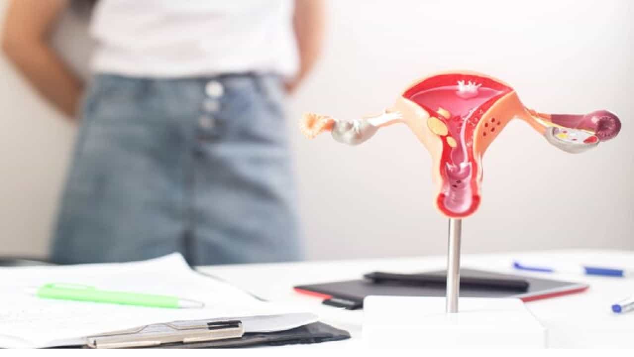 Fibroids Treatment: হঠাৎ ওজন বেড়ে যাওয়া, ঋতুস্রাবে সমস্যা, জরায়ুতে ফাইব্রয়েড নয় তো? যা কিছু জানা জরুরি... Fibroids Treatment: হঠাৎ ওজন বেড়ে যাওয়া, ঋতুস্রাবে সমস্যা, জরায়ুতে ফাইব্রয়েড নয় তো? যা কিছু জানা জরুরি...