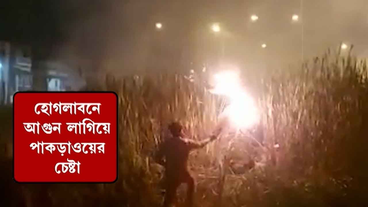 TMC Leader Shot Dead: লুকিয়ে ছিল হোগলা বনে, জঙ্গলে আগুন লাগিয়ে হাতেনাতে ধরা হল তৃণমূল কাউন্সিলরের 'খুনি'কে