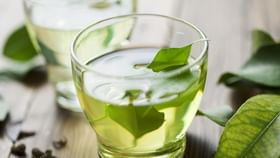 Green Tea: গ্রিন টি খাওয়ার পর পাতা ফেলে না দিয়ে কাজে লাগান রূপটানে! Green Tea: গ্রিন টি খাওয়ার পর পাতা ফেলে না দিয়ে কাজে লাগান রূপটানে!