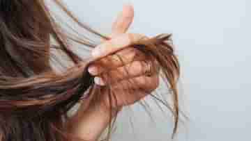Hair Care: নামী-দামি পণ্য ব্যবহার করেও সুন্দর চুল পাওয়ার ইচ্ছা পূরণ হচ্ছে না? এর পিছনে অন্য কোনও কারণ লুকিয়ে নেই তো?