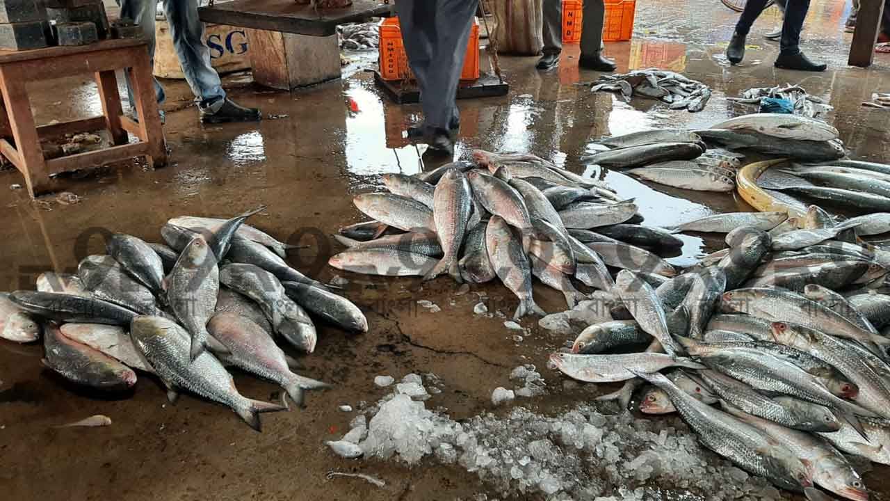 বর্ষাতে ইলিশের রমরমা তো থাকেই। তবে এবার বসন্তেও দেখা মিলছে রূপালি শস্যের। দামও একেবারে সাধ্যের মধ্যে। খাদ্যরসিক বাঙালির খুশি যেন আর ধরে না।