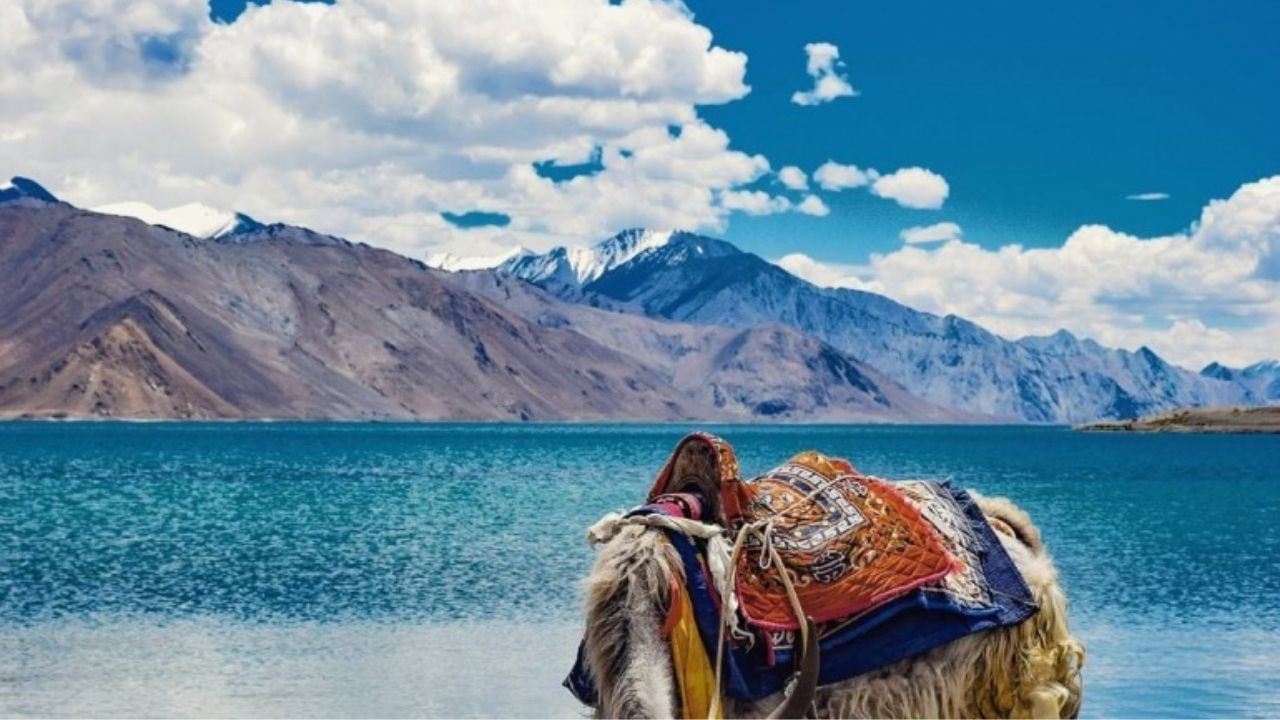 ladakh tourism guidelines