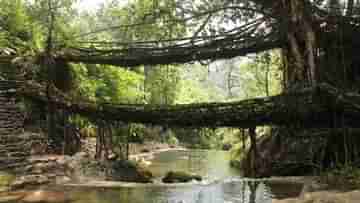 Meghalaya: ইউনেস্কোর ওয়ার্ল্ড হেরিটেজ সাইটে নাম তুলল মেঘালয়ের লিভিং রুট ব্রিজ! খুশি জোয়ার রাজ্যে