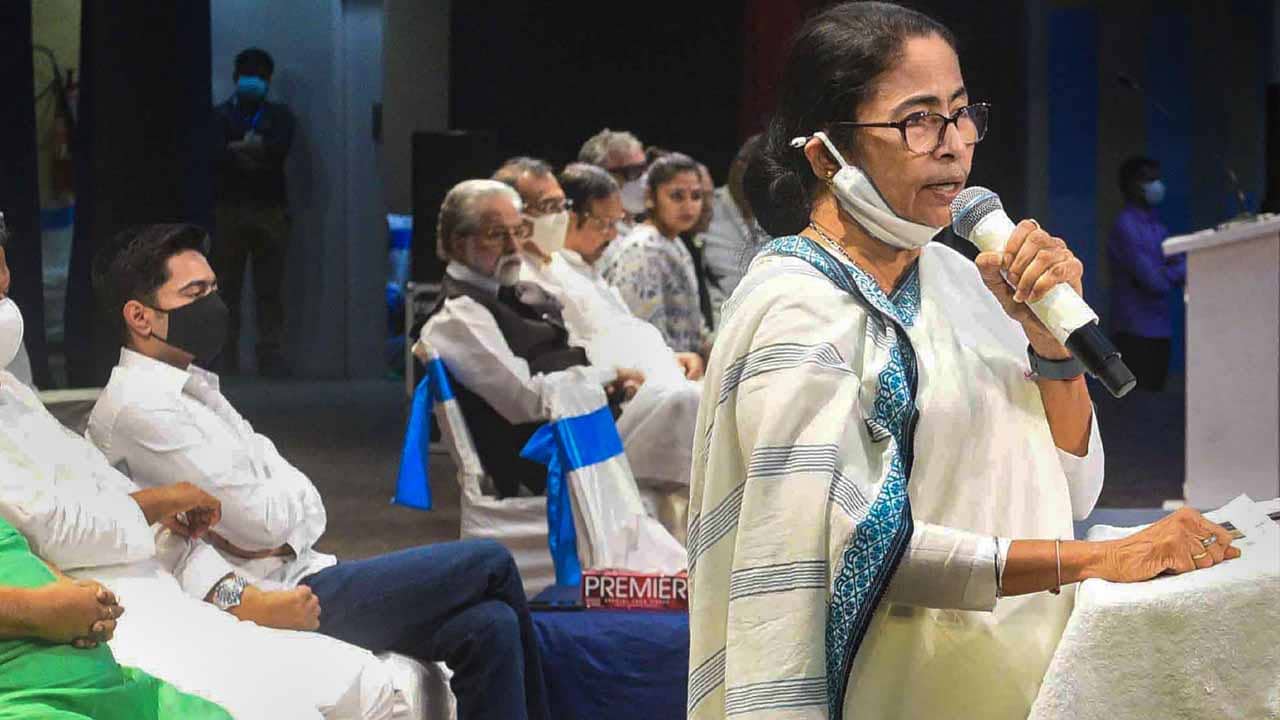 Mamata Banerjee: ঢ্যাঁড়শ, পটল কিনে নিয়ে গিয়ে রান্না করুন, এলাকায় ঘুরে নেতাদের মেদ ঝরাতে বললেন মমতা