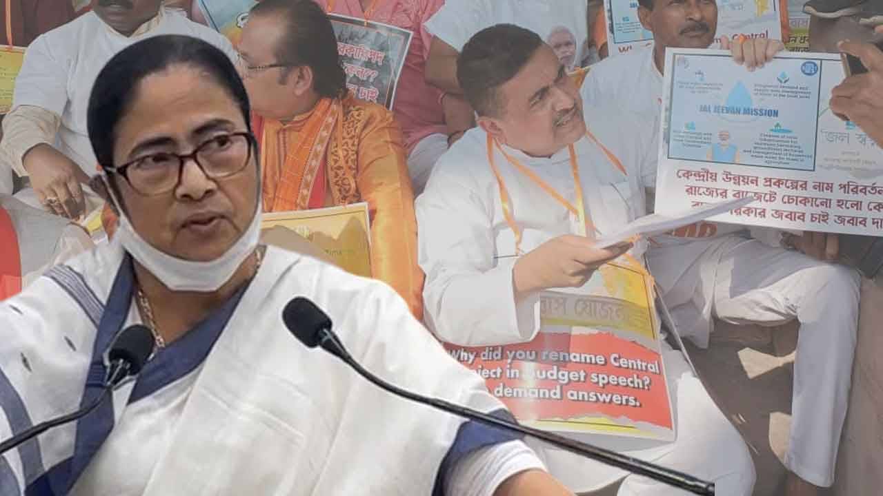 Bengal Budget: বাজেট অধিবেশন থেকে ওয়াক আউট শুভেন্দুদের! কাজের যোগ্যতা না থাকলে কী করবে, কটাক্ষ মমতার