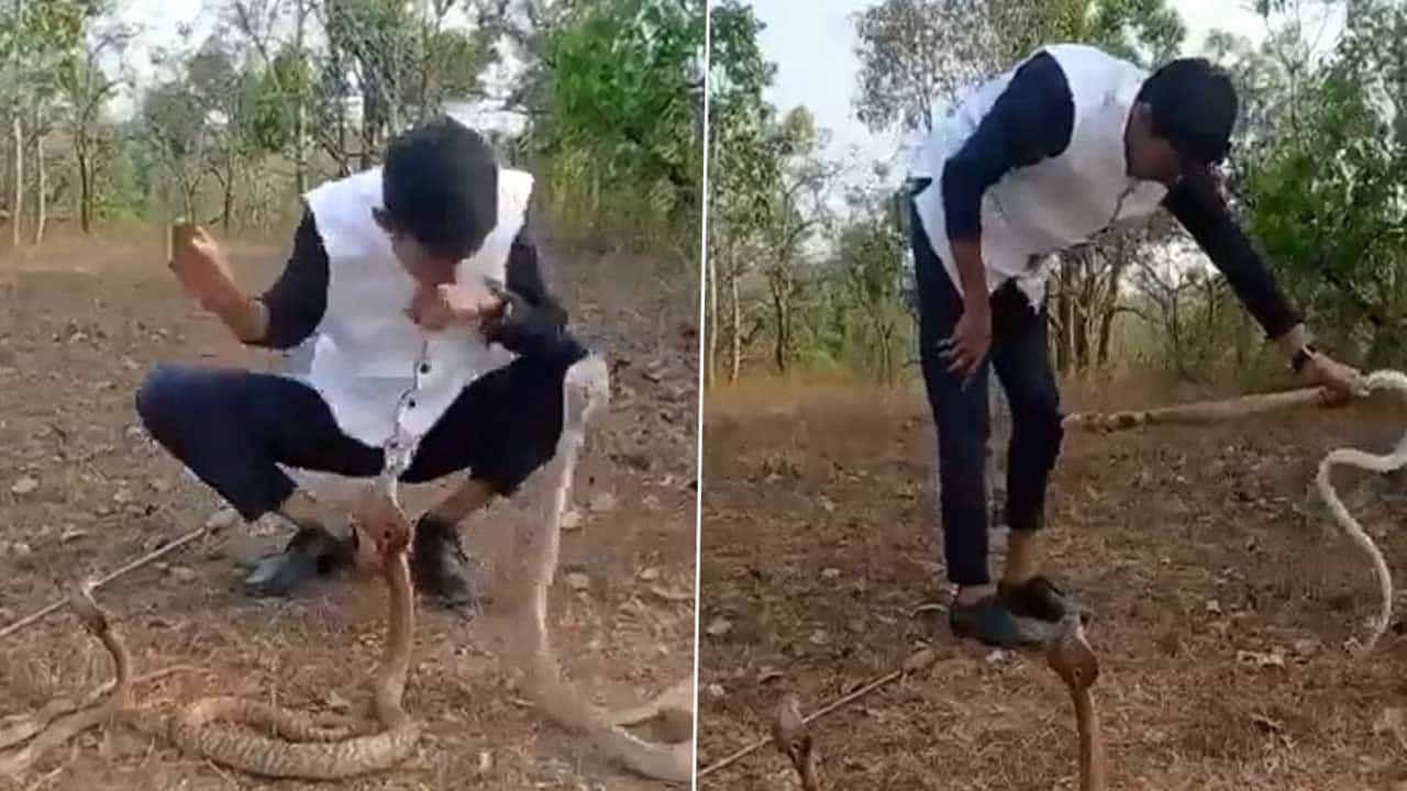 Viral Video: কেউটের সঙ্গে ছেলেখেলা! তরুণের পরিণতি দেখলে শিউরে উঠবেন... রইল ভাইরাল ভিডিয়ো Viral Video: কেউটের সঙ্গে ছেলেখেলা! তরুণের পরিণতি দেখলে শিউরে উঠবেন... রইল ভাইরাল ভিডিয়ো