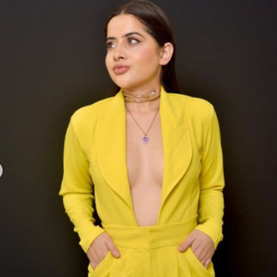 কথা ছিল একটি মিউজিক ভিডিও শুট করার। তার জন্যই পরিচালক ওবেড আফ্রিদি উরফিকে মনোনিত করেছিলেন। তবে এমনি এমনি নয়। 