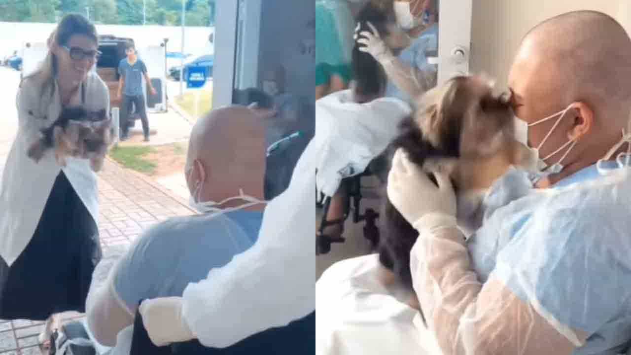 Viral Video: ক্যানসার আক্রান্ত মালকিনের সঙ্গে ৪০ দিন পর দেখা পোষ্যের, বাধ মানল না চোখের জল