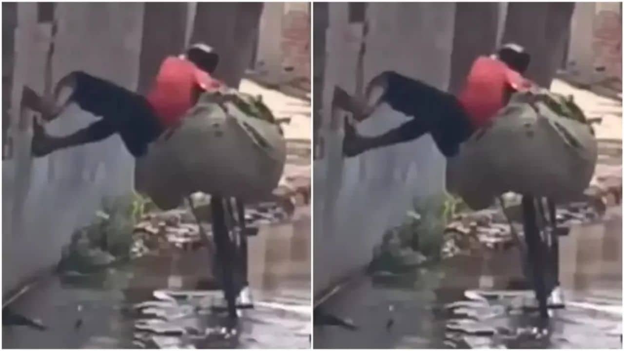 Viral Video: রাস্তায় জমা কাদা জল! স্প্যাইডারম্যানের রূপেই সাইকেল নিয়ে রাস্তা পার হলেন যুবক, দেখুন ভাইরাল ভিডিয়ো
