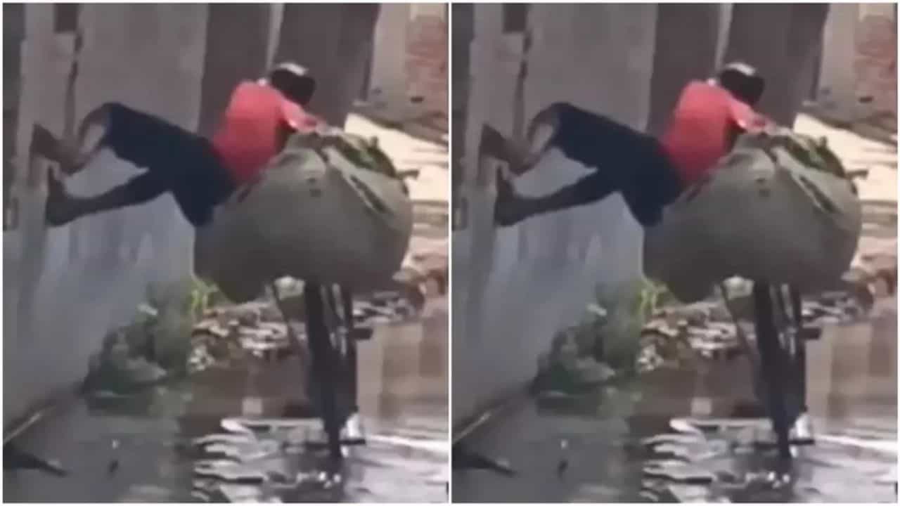 Viral Video: রাস্তায় জমা কাদা জল! স্প্যাইডারম্যানের রূপেই সাইকেল নিয়ে রাস্তা পার হলেন যুবক, দেখুন ভাইরাল ভিডিয়ো