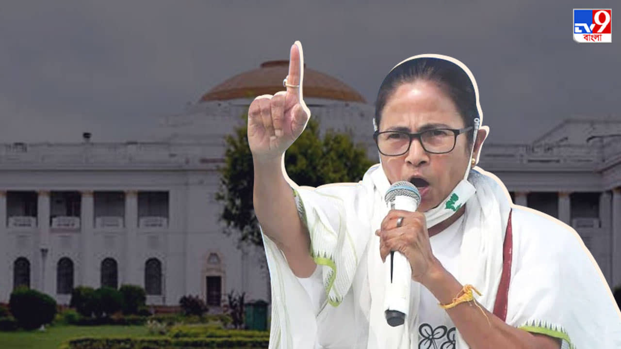 West Bengal Assembly: মোদী সরকার করলে বাংলা কেন ব্যতিক্রম? বিধানসভায় সাসপেনশন নিয়ে মুখর মুখ্যমন্ত্রী