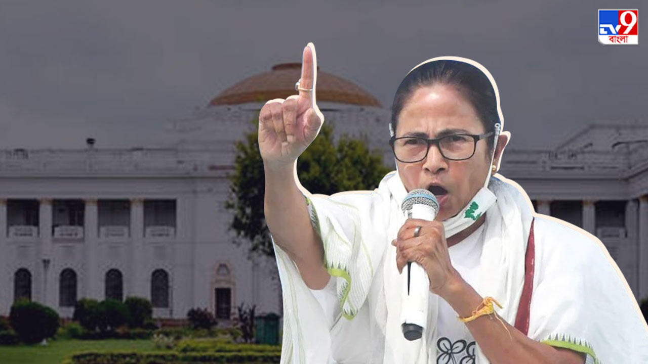 West Bengal Assembly: মোদী সরকার করলে বাংলা কেন ব্যতিক্রম? বিধানসভায় সাসপেনশন নিয়ে মুখর মুখ্যমন্ত্রী