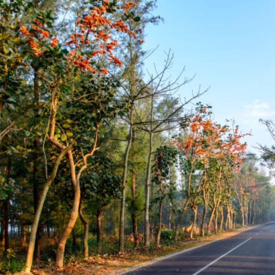 রাত পোহালেই কাল দোল। পরশু হোলি। ছোট্ট একটা উইকেন্ড পরিবারের সঙ্গে কাটানোর এর চেয়ে ভাল সুযোগ পাবেন না। কোথায় যাবেন এখনও ঠিক করে না থাকলে দেখে নিন এক নজরে...