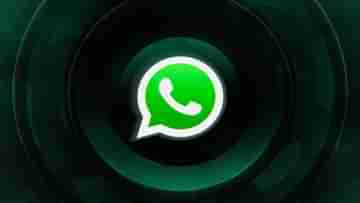 Whatsapp Chat Pin To Top: হোয়াটসঅ্যাপ চ্যাটকে কীভাবে পিন টু টপ করবেন? শিখে নিন ট্রিকস