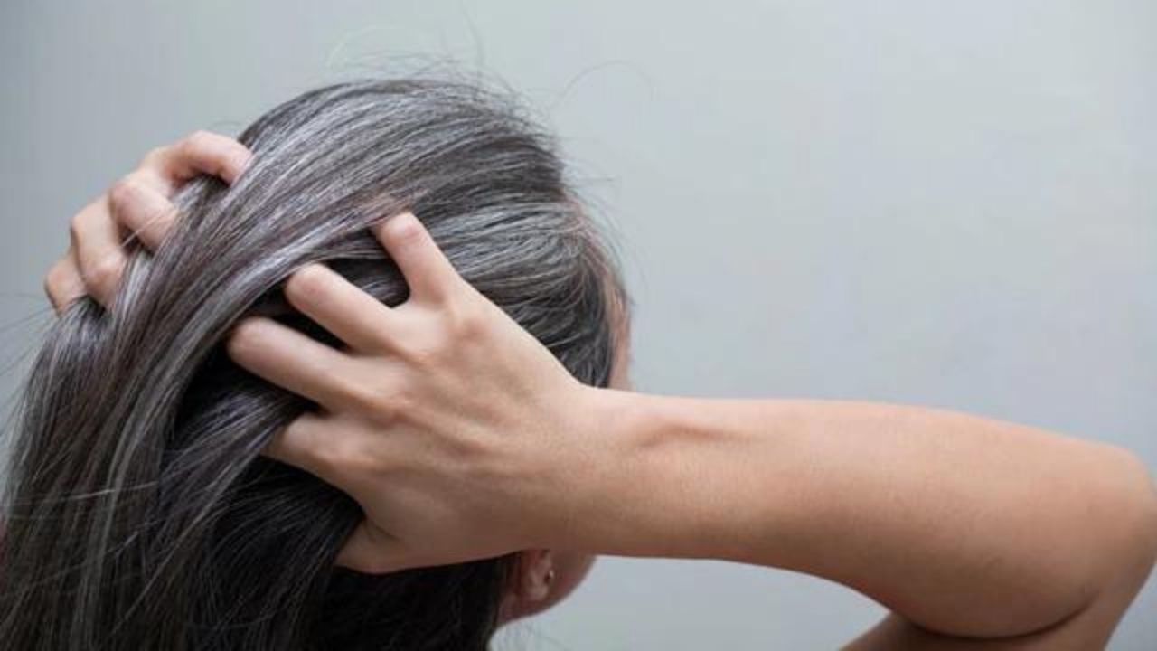 Hair Care Tips: প্রাকৃতিকভাবে চুল কালো করতে সরষের তেলের সঙ্গে এই ২টি জিনিস মেশালেই হবে কেল্লাফতে!